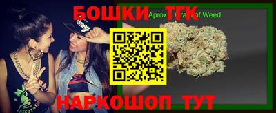 индика Наро-Фоминск