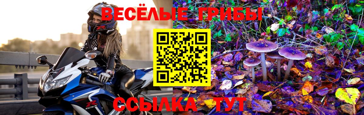 Псилоцибиновые грибы Psilocybe  Вход с VPN  Феодосия 