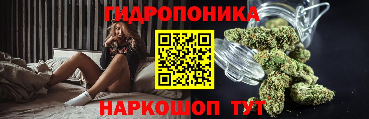 Бошки марихуана Amnesia Феодосия
